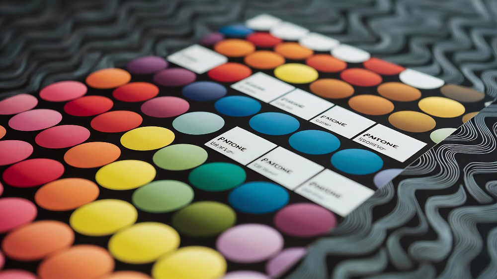 Designer selecting and testing color palettes for brand identity